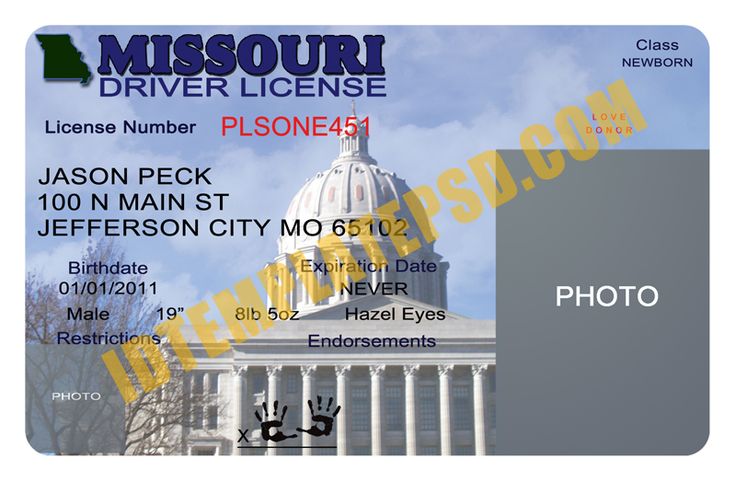 free drivers license maker